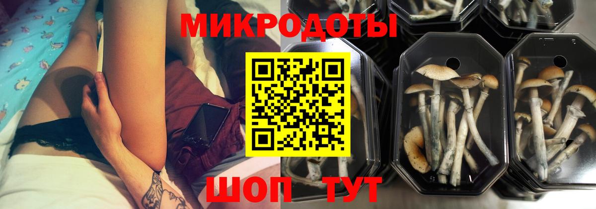 Псилоцибиновые грибы MAGIC MUSHROOMS Морозовск